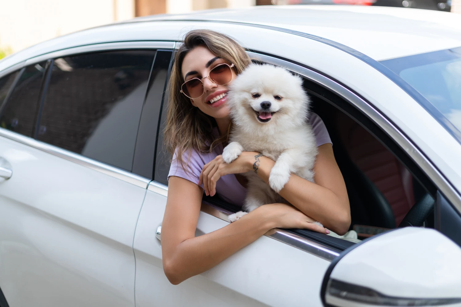 Nissan Pathfinder Dog Car Seat for Pomeranians