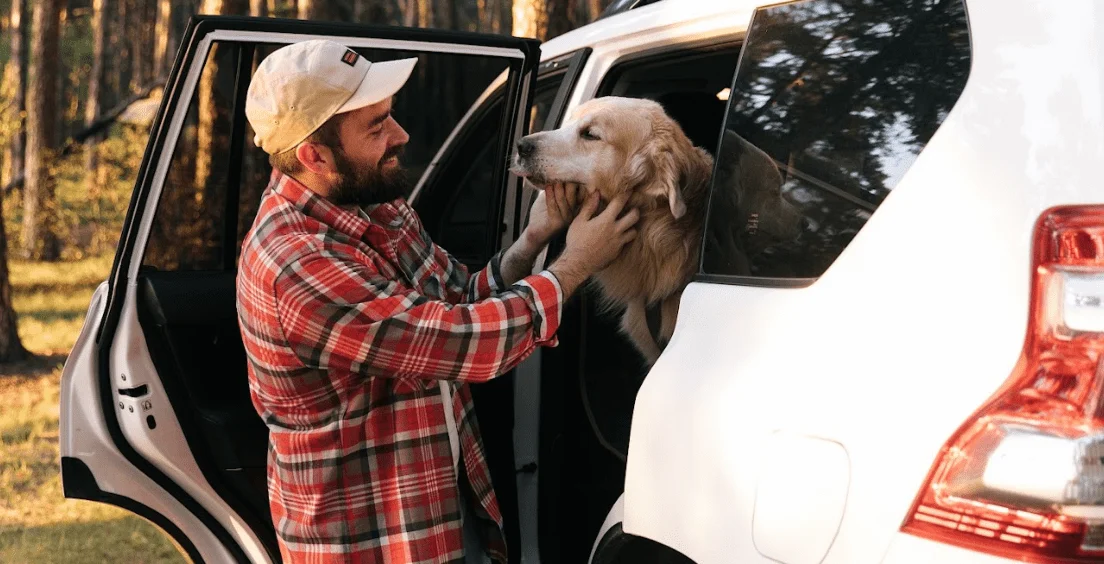 Jeep Wrangler Dog Safety Belt for English Setters